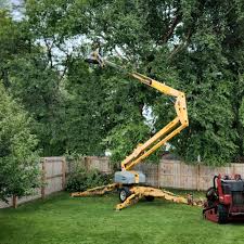 Best Tree Mulching  in Corralitos, CA